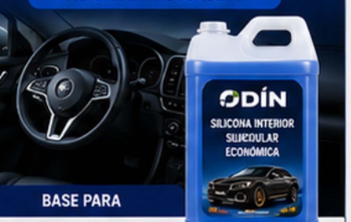 Silicona Interior Vehicular Económica